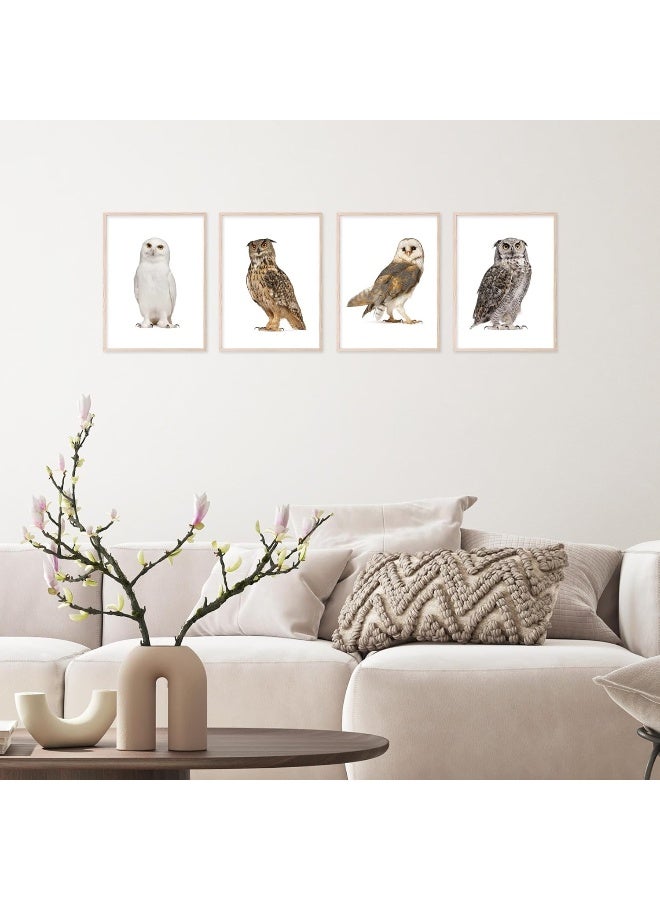 Insire Owl Wall Art Owl Wall Decor - Set of 4 (8x10) - Image 4
