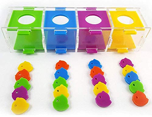 Litewoo Bird Intelligence Training Toy Color Separation Coin Box Education Interactive Playing Puzzle Toy for African Grey Parakeet Cockatiel Cockatoo Finch Canary Budgie Conure Lovebird Amazon - Image 1