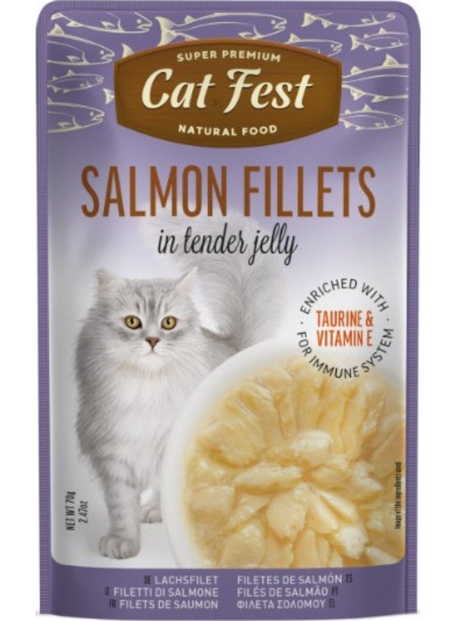 كات فيست فيليه سمك السلمون في جيلي طري للقطط من كات فيست، 70 جرام - Image 1