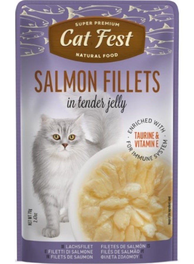 Cat Fest Salmon Fillets In Tender Jelly For Cats - 4 pouch, each pouch size 70g - Image 2