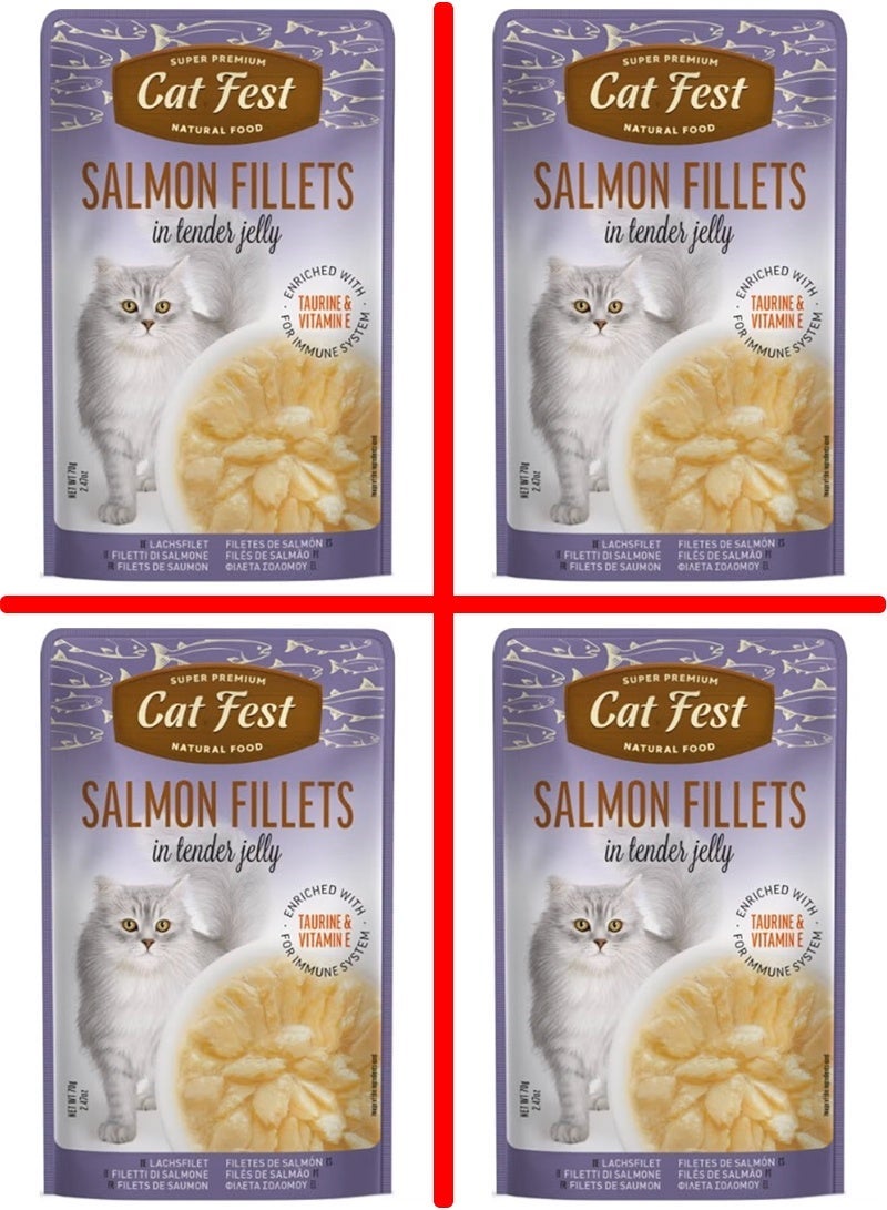 Cat Fest Salmon Fillets In Tender Jelly For Cats - 4 pouch, each pouch size 70g - Image 1