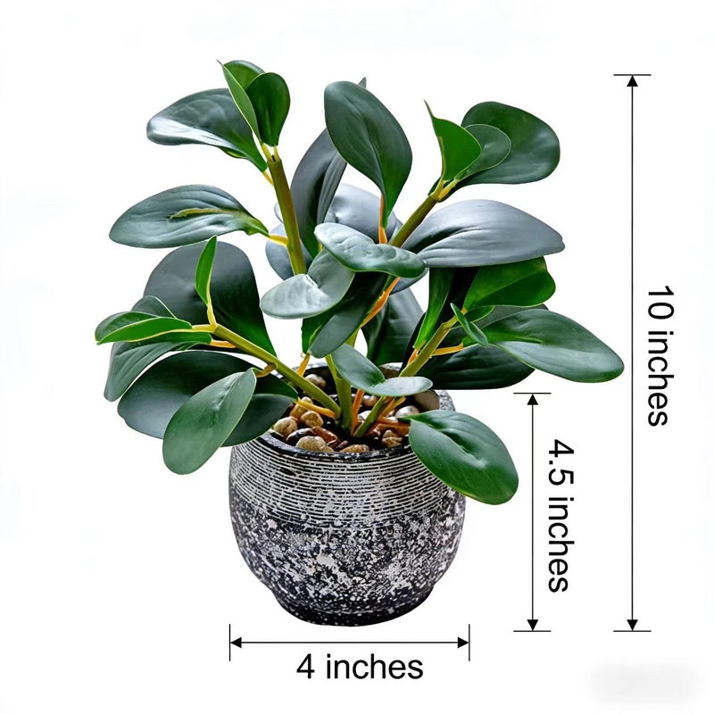 AlphaAcc Artificial Plants Potted Real Looking Small Faux Plant with Rustic Black Cement Planter for Kitchen Office Desk Bookshelf Decor (Ficus Plant) - Image 3