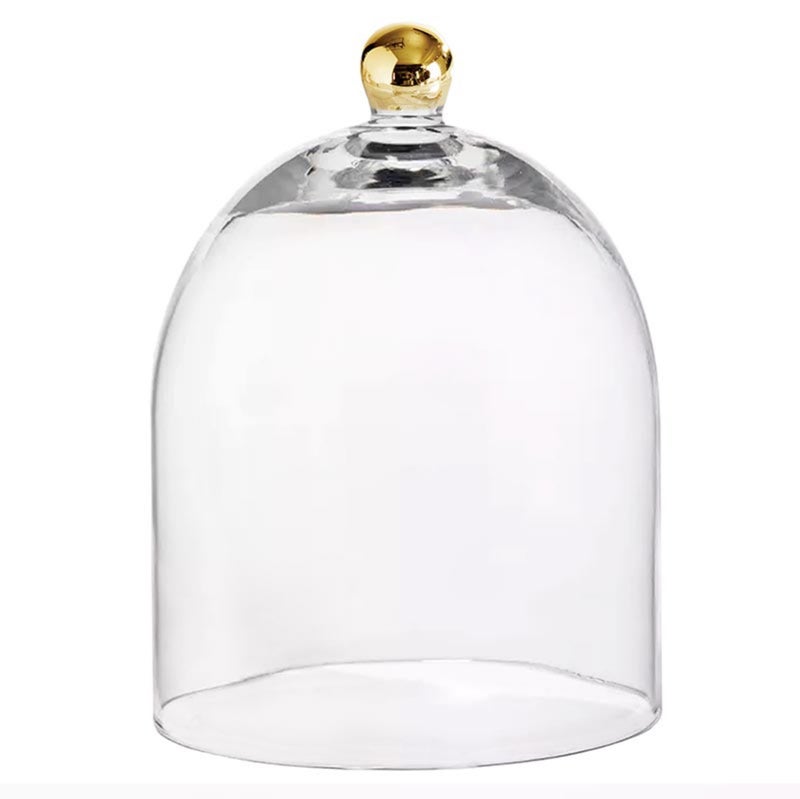 Santa Barbara Design Studio Santa Barbara Design Studio Glass Dome Food Cover Gold Knob Cloche, Small, Clear  - Image 1