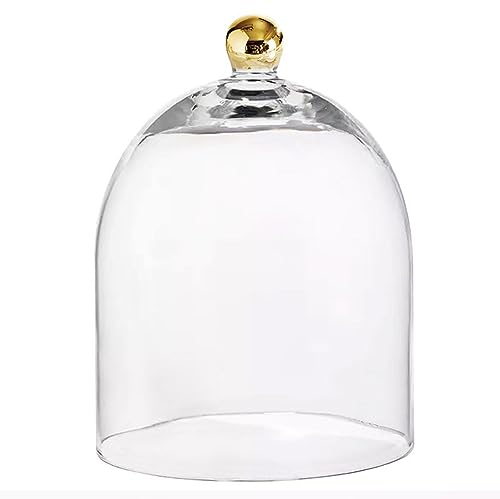 Santa Barbara Design Studio Santa Barbara Design Studio Glass Dome Food Cover Gold Knob Cloche, Small, Clear  - Image 2