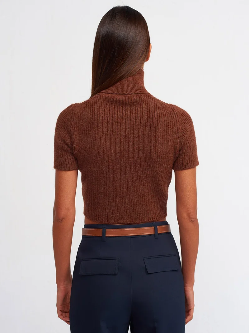ديلفين 10487 Full Turtleneck Ribbed Short Sleeve Crop Sweater-Light Brown