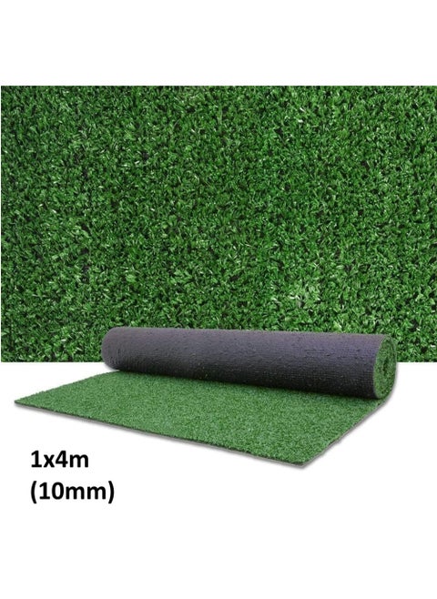 Artificial Grass For Wall And Play Grounds Grass Carpet Turf Lightweight 10mm (1x4 meter)