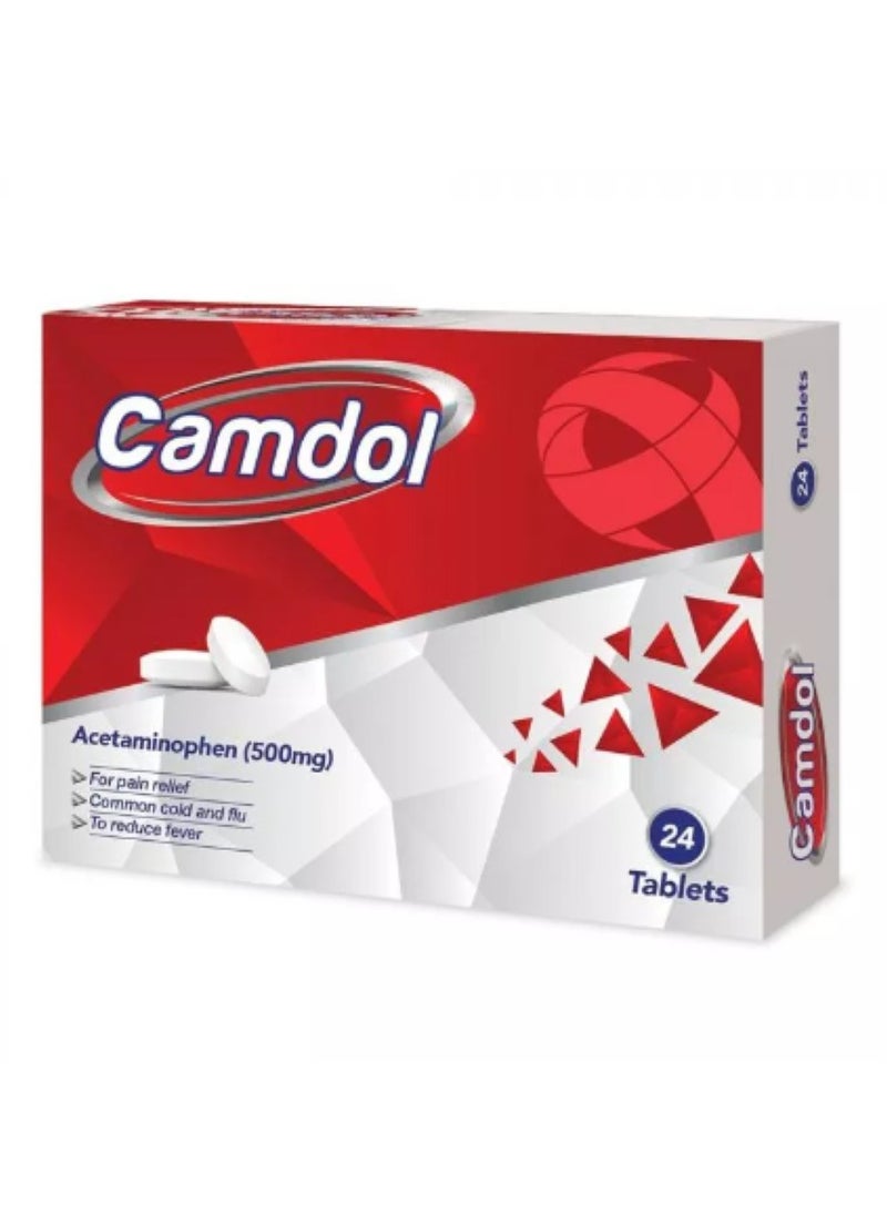 Camdol 500mg Tablets 24's 