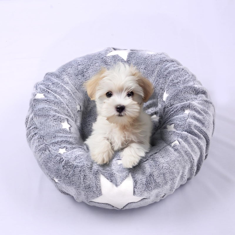 Hoopttay Glow in The Dark Dog Bed Cover - Replacement Washable Protector with Gray Star Pattern & Elastic Edges for Small & Medium Beds, 20" x 9.8" - Image 2