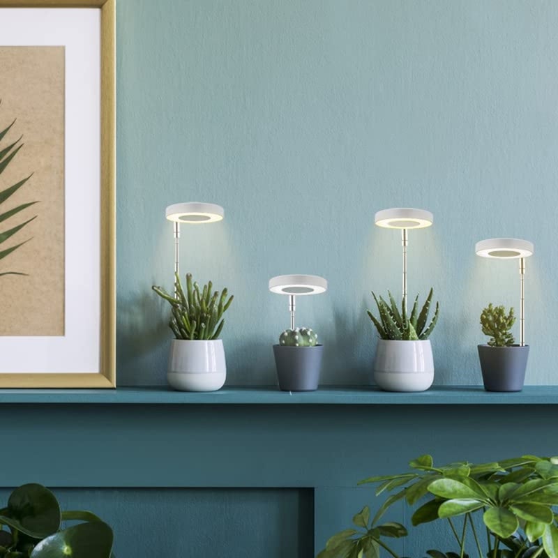 Plant Grow Light Full Spectrum LED Plant Light for Indoor Plants 3 Light Modes, 9 Dimmable Brightness Levels Height Adjustable Growing Lamp with 3/9/12H Timer Ideal for Small Plants Pack of 2 - Image 4