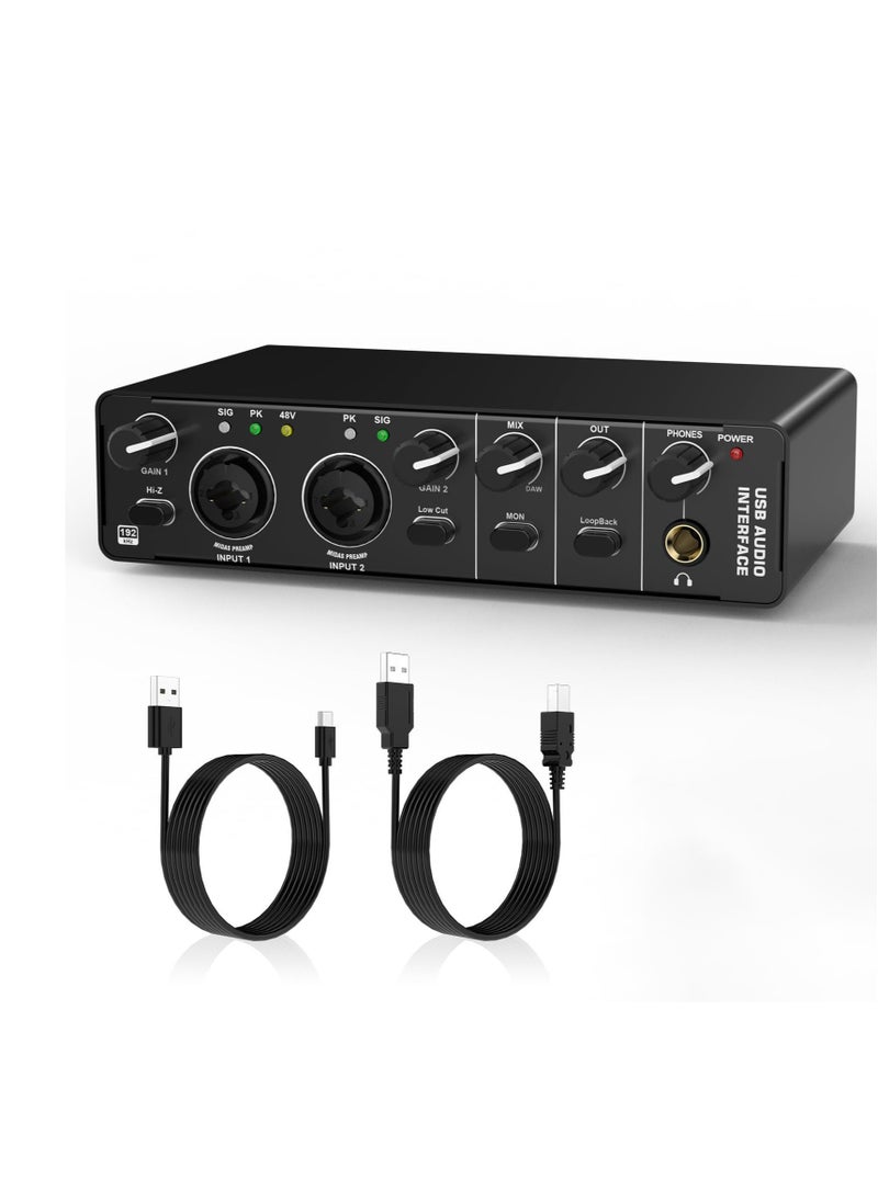 Excefore - USB Audio Interface, RHM 2 In 2 Out Audio Interface, DJ Controller Sound Mixer, with 48V Phantom Power, Audio Mixer & Mic Preamplifier XLR/TSR/TS Ports, for Guitarist, Vocalist, Podcaster or Producer - Image 1