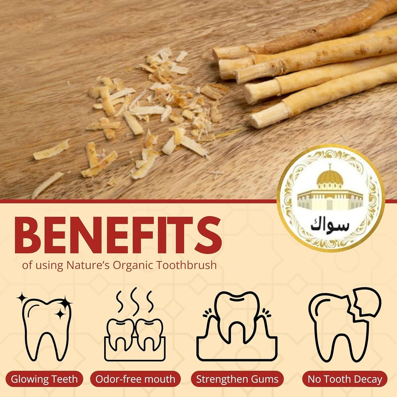 Miswak Sticks for Teeth Natural Toothbrush Organic Vegan and Cruelty Free Vacuum Sealed (Pack of 10) - Image 3