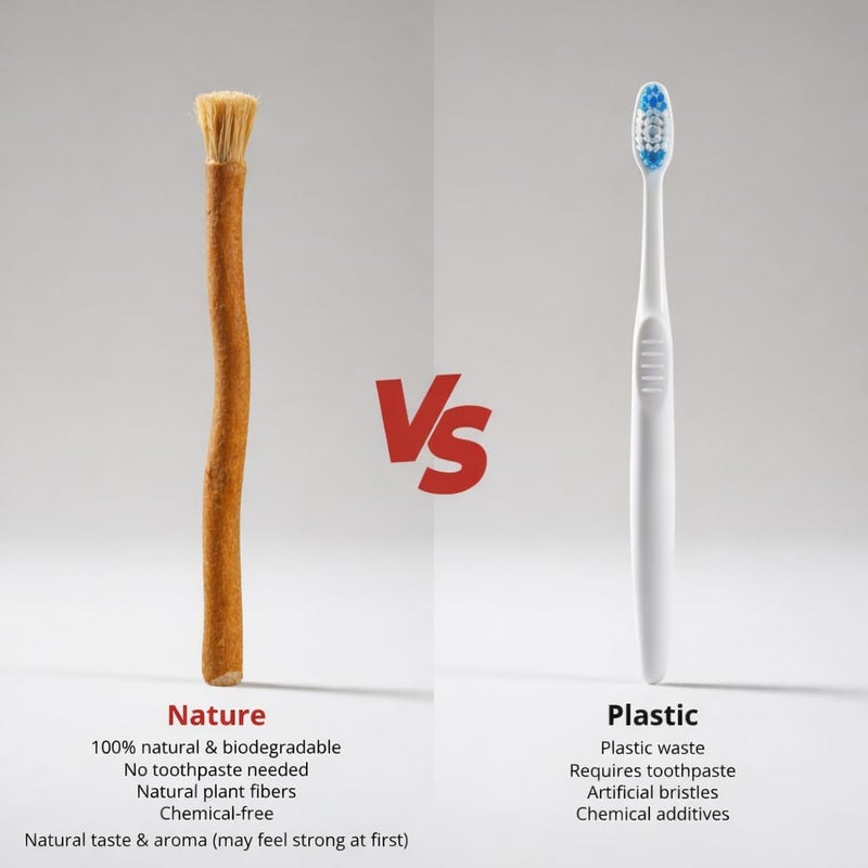 Miswak Sticks for Teeth Natural Toothbrush Organic Vegan and Cruelty Free Vacuum Sealed (Pack of 10) - Image 4