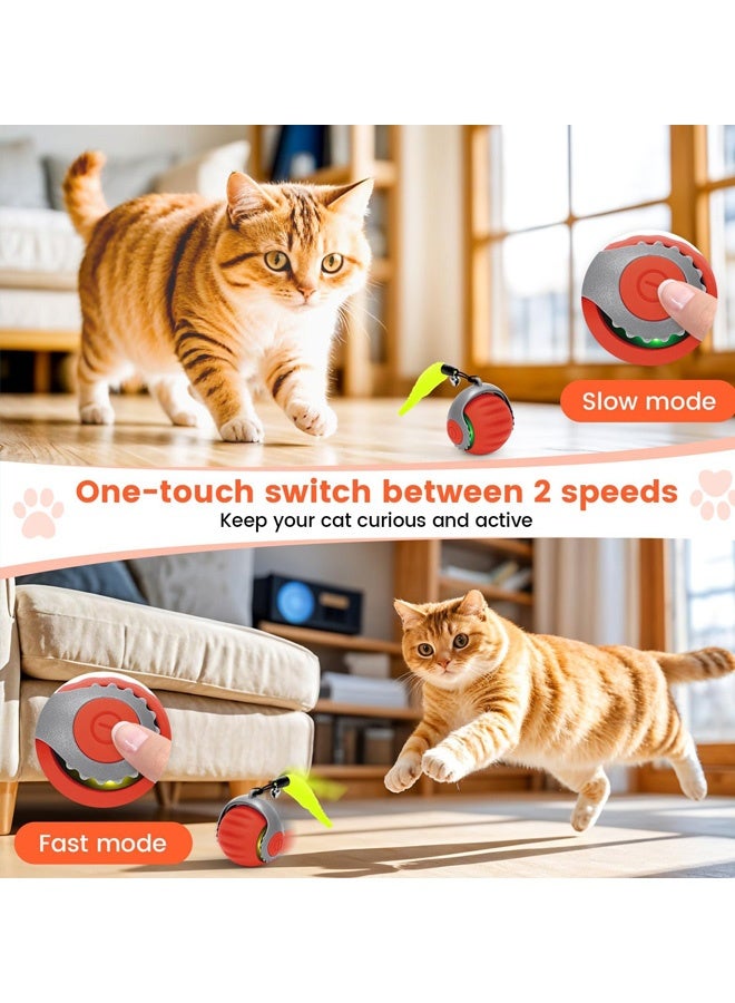 لعبة تفاعلية للقطط كرة سريعة الذيل 3.0 لعبة متدحرجة للحيوانات الأليفة ألعاب تفاعلية 360 درجة لعبة ذكية أوتوماتيكية للكلاب والقطط الصغيرة USB قابلة لإعادة الشحن ذيل توربو كرات إلكترونية مرتدة برتقالية هدية للقطط البالغة والقطط الصغيرة والكلاب، برتقالية - Image 3