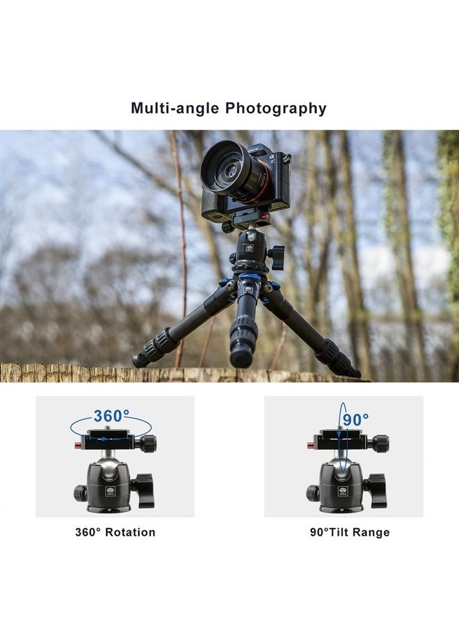SIRUI Camera Tripod Ball Head, 10KG/22.05lbs Loading Capacity, 360°Panning Base, Aluminum Build Quality, Safety Lock, Universal Mounting Plate for Easy Attachment (B-00K Ball Head) - Image 1