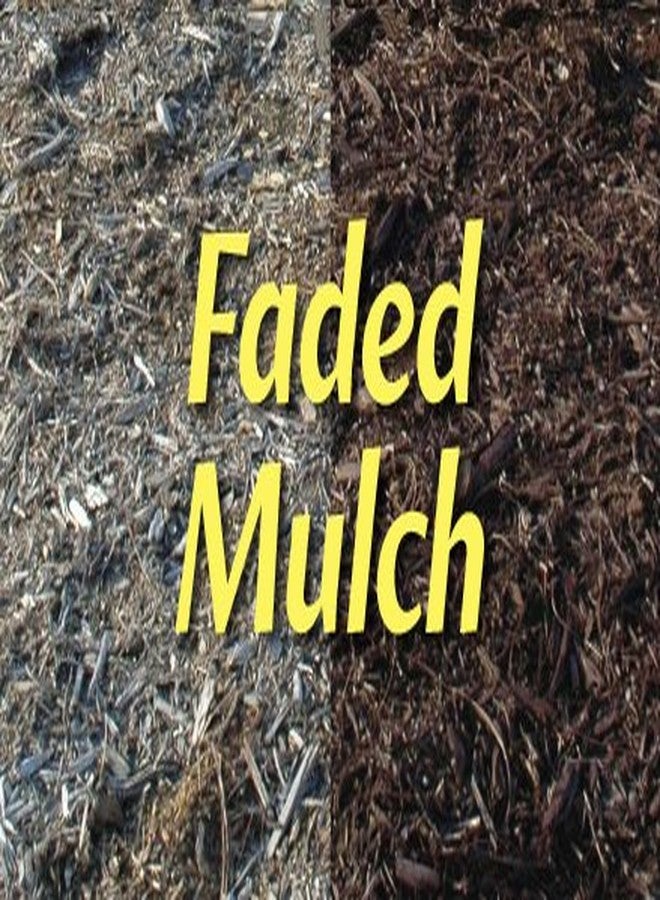 إنفيرو كولور صبغة نشارة خشب بلون الكاكاو البني من إنفيروكولور - مركز 32 أونصة لمساحة 2400 قدم مربع | نشارة صديقة للبيئة لتحسين تنسيق الحدائق | حل غير سام واقتصادي لتحسين مظهر المنزل - Image 2