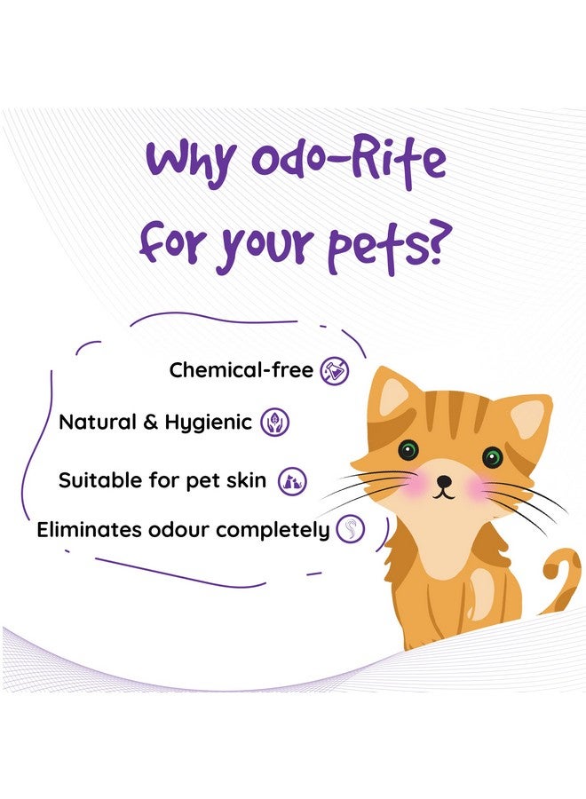 odo-rite ODO-RITE Cat Litter Spray, Odour Eliminator (175 ml) Removes Smell from Litter Box,Silky Fresh  - Image 4