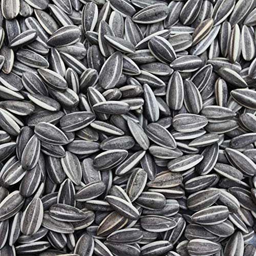 Sage Square Sunflower Seeds Birds Food for Grey Parrot, Indian Parrots, Macaw, Cockatoo and Exotic Birds and Other Small & Big Pet Birds (500G), 1 Count - Image 1