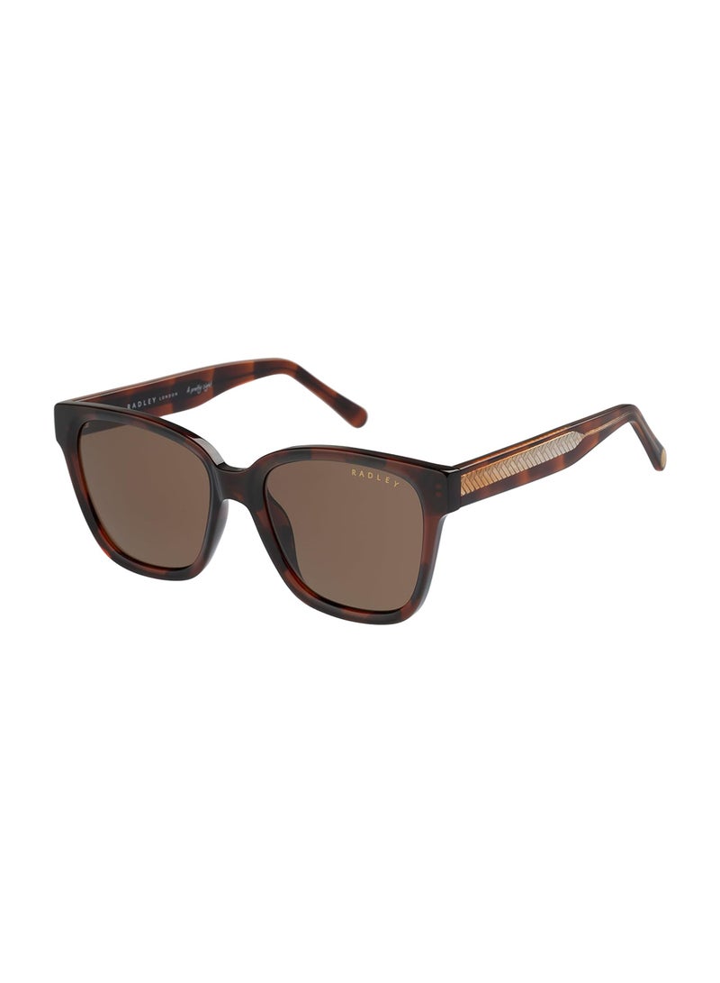 Radley نظارات شمسية مربعة للنساء RDS-6521 ملونة بني 53 مم - Image 1