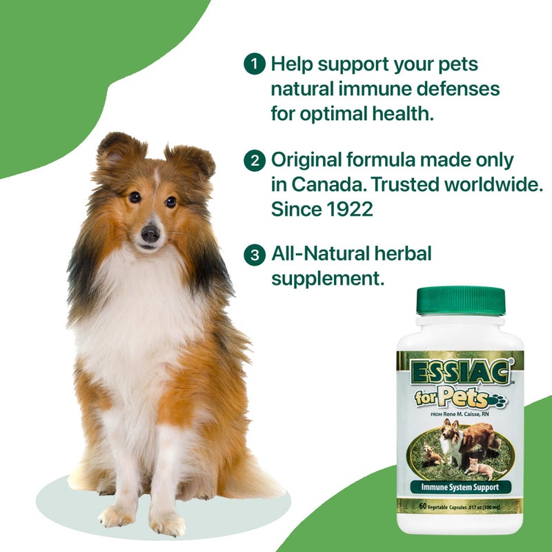 Essiac International Herbal Supplement for Pets, 60 Capsules - Image 2