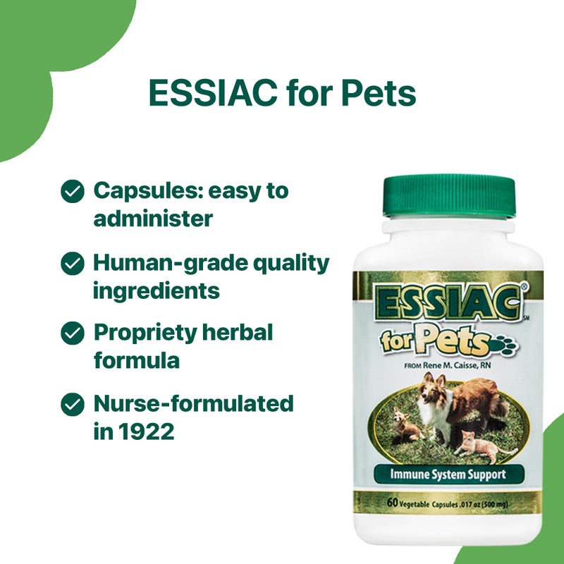 Essiac International Herbal Supplement for Pets, 60 Capsules - Image 4
