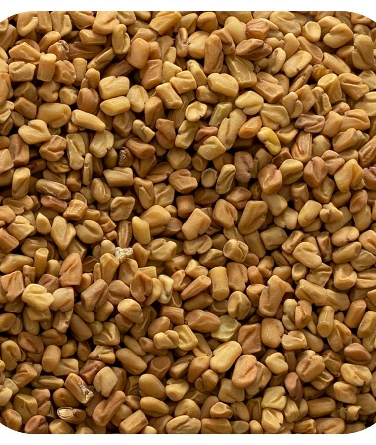 Whole Fenugreek Seed 16 oz (453 g)