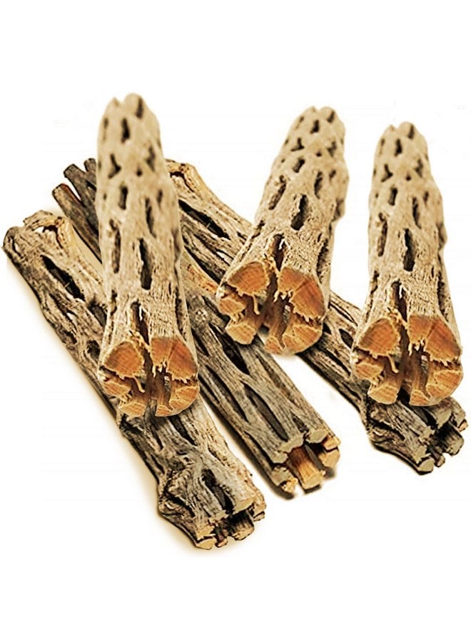 SunGrow Leopard Gecko Cholla Wood, 5 Inches Long, Create Basking Spot, Artistic Home-Decor, Lizards and Bearded Dragons, 6-Pack - Image 1