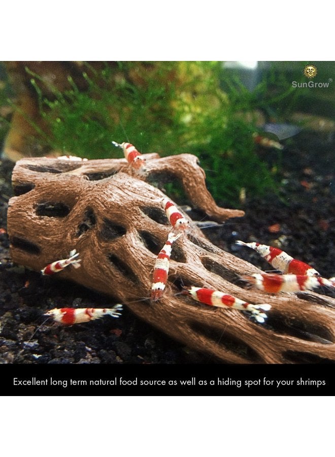 SunGrow Leopard Gecko Cholla Wood, 5 Inches Long, Create Basking Spot, Artistic Home-Decor, Lizards and Bearded Dragons, 6-Pack - Image 2