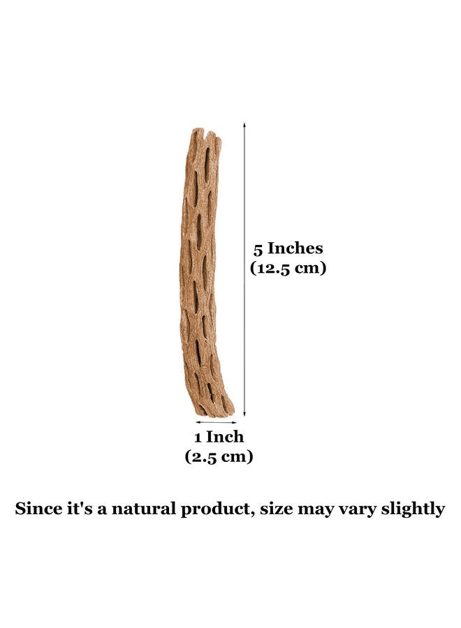 SunGrow Leopard Gecko Cholla Wood, 5 Inches Long, Create Basking Spot, Artistic Home-Decor, Lizards and Bearded Dragons, 6-Pack - Image 3