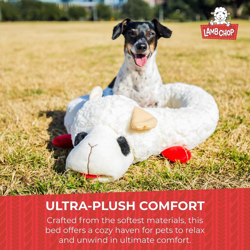 Multipet 10" LAMB CHOP DOG TOY - Image 4