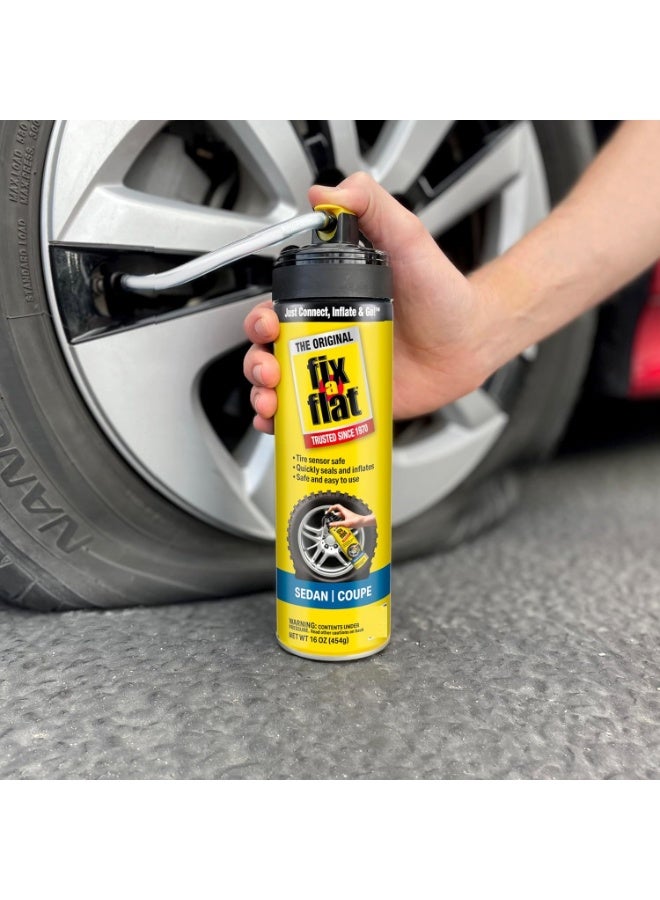 Fix A Flat Tire Inflator With Hose 454 G - Image 4