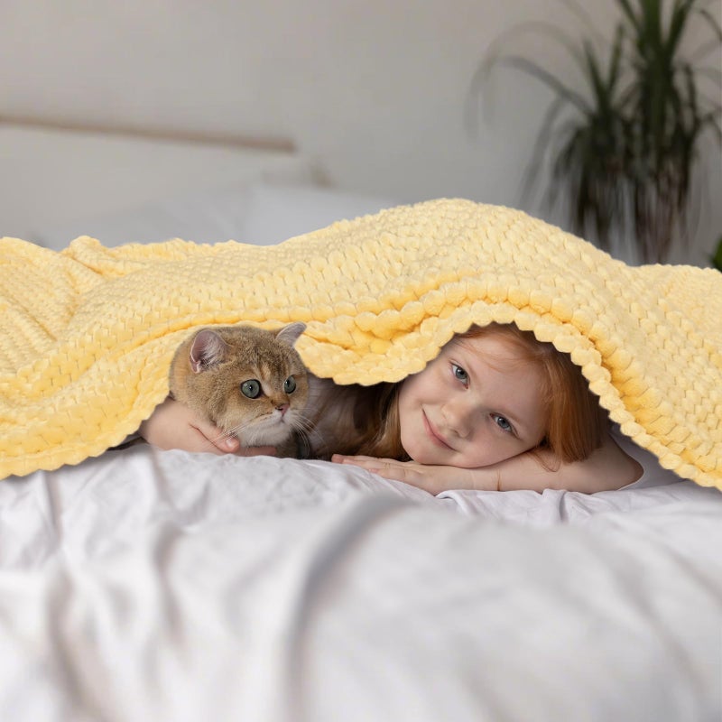 Vessia Flannel Fleece Throw Blanket, 3D Jacquard Light Yellow Fuzzy and Warm Blanket for Couch,Sofa,Bed,Chair, 300GSM Soft Touch Cozy Throw for All-Season Home Decor(50x40inch) - Image 5