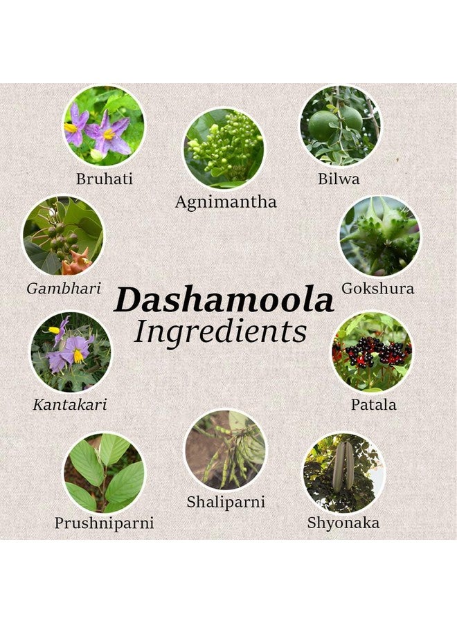 minature مسحوق مي ناتشر داشامولا 227 جرام | 10 أعشاب مجففة | يُعرف أيضًا باسم داشامولا، داشمولام أو داشامولا - Image 2