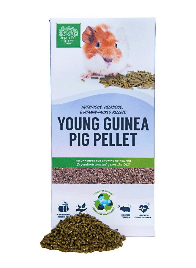 Small Pet Select - Young Guinea Pig Pellet Food, 5lb - Image 1