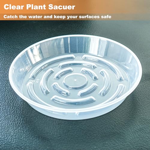 MSKIAUO 6 Packs Plant Saucer, Clear Pot Tray 6 8 10 12 14 Inch Plastic Flower Planter Saucers and Drip Trays for Indoors Outdoors, Heavy Durable Plant Plate Water Catcher (6 Inch) - Image 3