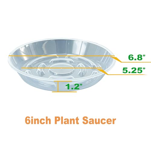 MSKIAUO 6 Packs Plant Saucer, Clear Pot Tray 6 8 10 12 14 Inch Plastic Flower Planter Saucers and Drip Trays for Indoors Outdoors, Heavy Durable Plant Plate Water Catcher (6 Inch) - Image 2