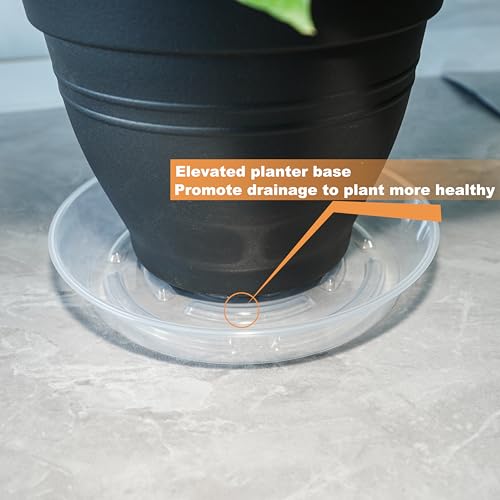 MSKIAUO 6 Packs Plant Saucer, Clear Pot Tray 6 8 10 12 14 Inch Plastic Flower Planter Saucers and Drip Trays for Indoors Outdoors, Heavy Durable Plant Plate Water Catcher (6 Inch) - Image 4
