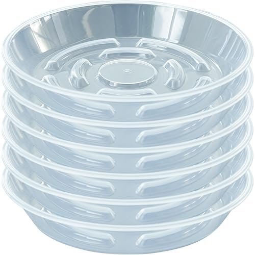 MSKIAUO 6 Packs Plant Saucer, Clear Pot Tray 6 8 10 12 14 Inch Plastic Flower Planter Saucers and Drip Trays for Indoors Outdoors, Heavy Durable Plant Plate Water Catcher (6 Inch) - Image 1