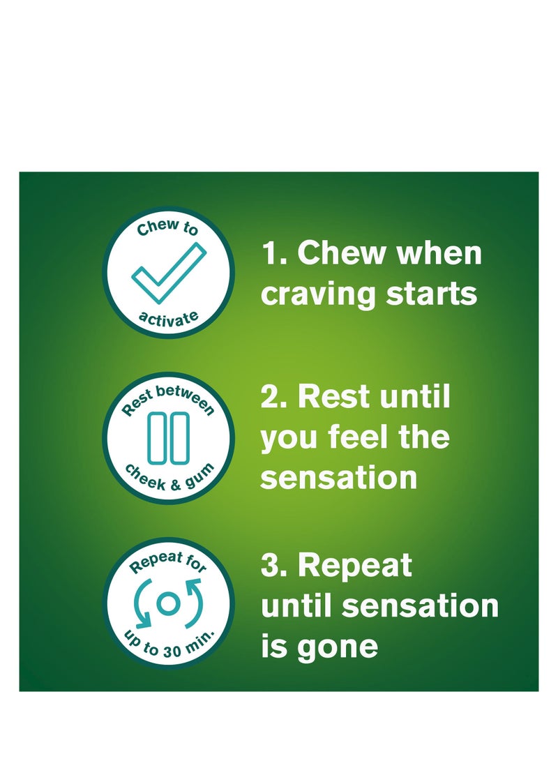 Nicorette Gum Freshmint 2mg 30 Pcs - Image 4