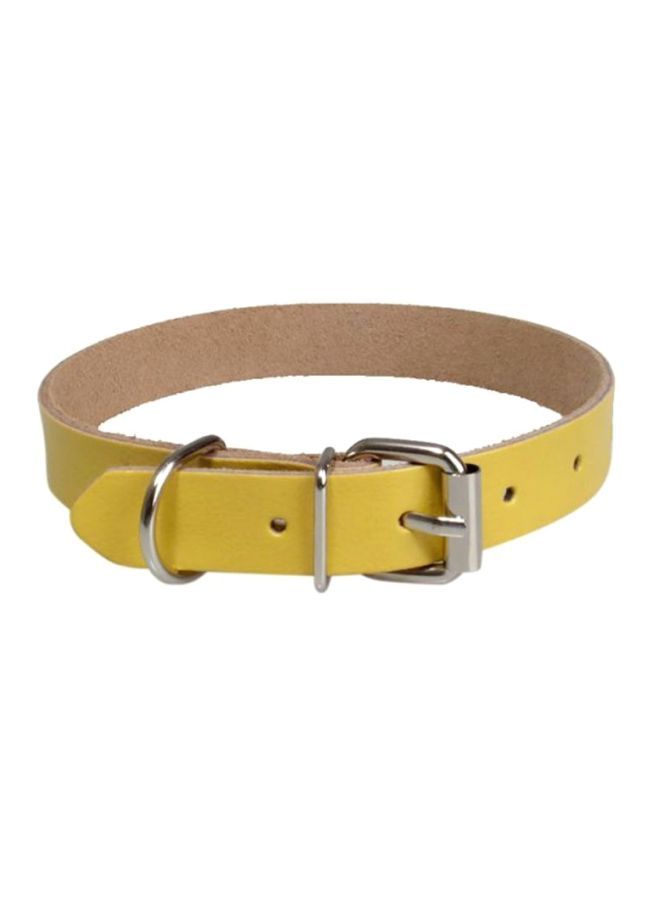 NIBEMINENT Nylon Dog Leash Yellow S - Image 1