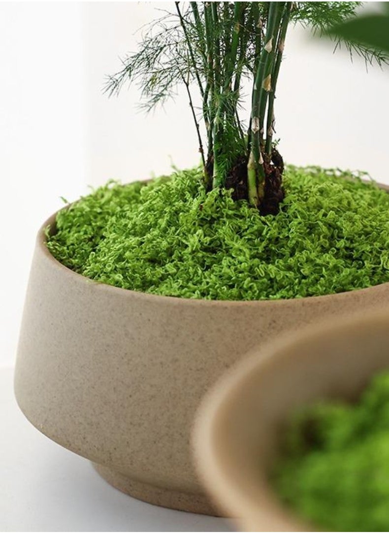 JUNYOUK 200g Moss Grass Perfectly Simulates Artificial Moss Fake Green Grass for Centerpieces Home Kitchen Garden Decor Preserved Forest Moss  - Image 2