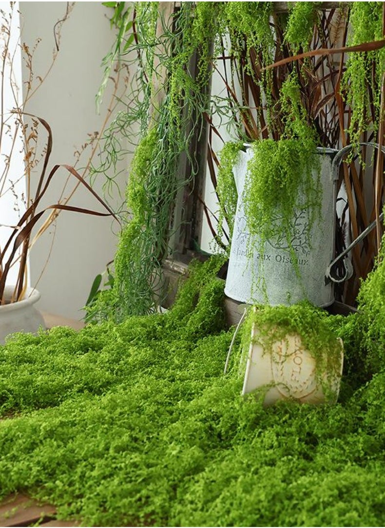 JUNYOUK 200g Moss Grass Perfectly Simulates Artificial Moss Fake Green Grass for Centerpieces Home Kitchen Garden Decor Preserved Forest Moss  - Image 4