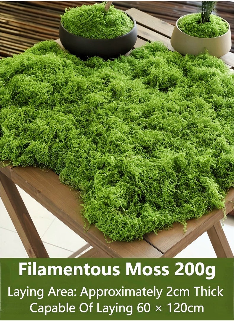 JUNYOUK 200g Moss Grass Perfectly Simulates Artificial Moss Fake Green Grass for Centerpieces Home Kitchen Garden Decor Preserved Forest Moss  - Image 1