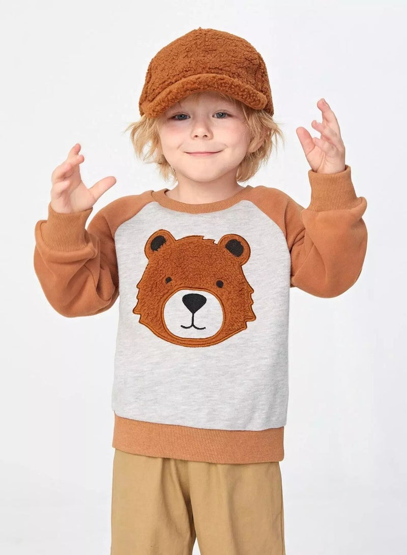 Toddler Boys Bear Embroidery Raglan Sleeve Colorblock Sweatshirt - Image 1