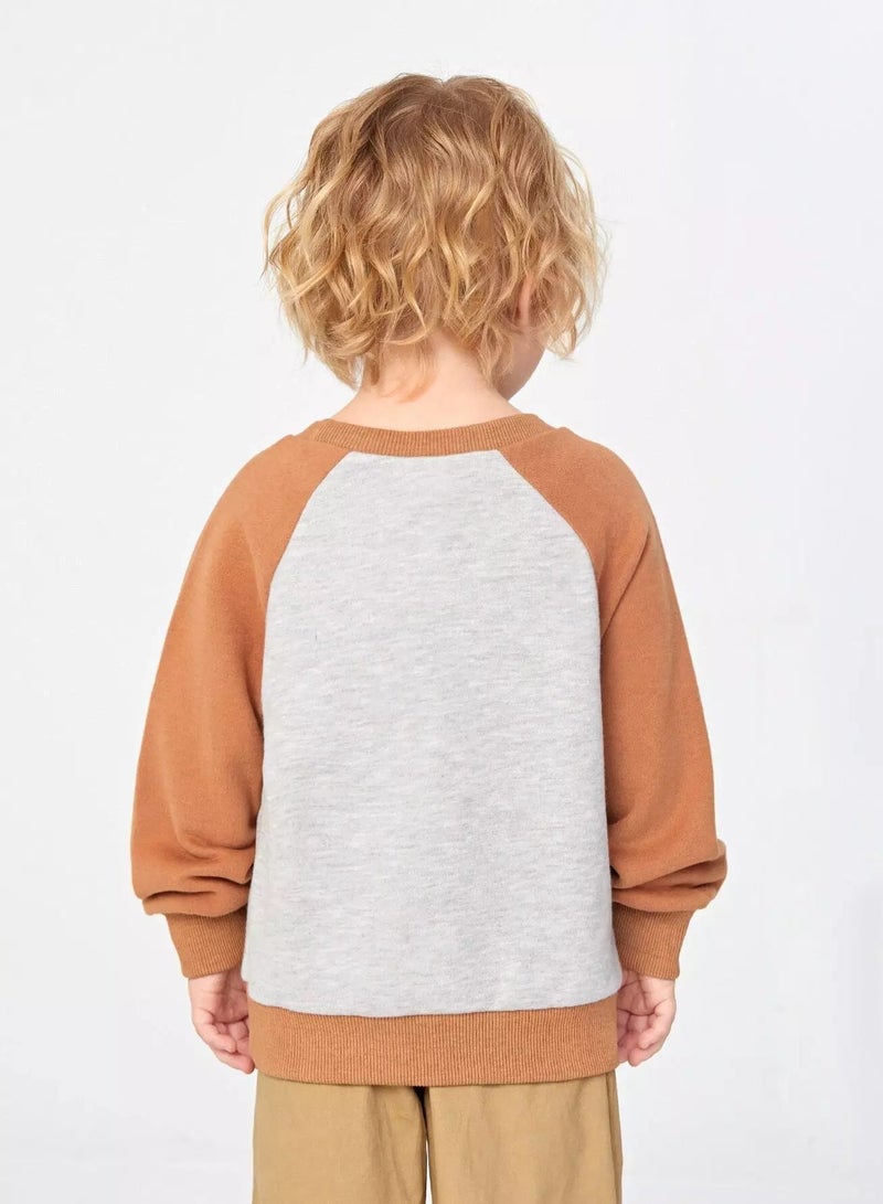 Toddler Boys Bear Embroidery Raglan Sleeve Colorblock Sweatshirt - Image 2