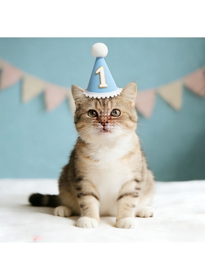 Soft Blue 1st Birthday Cone Hat with 1st Birthday Candle for Baby Boys Neutral Fabric First Birthday Party Hat for Cake Smash Photoshoots First Birthday Celebrations Milestone Portraits Party Outfits Birthday Decor Props - Image 3