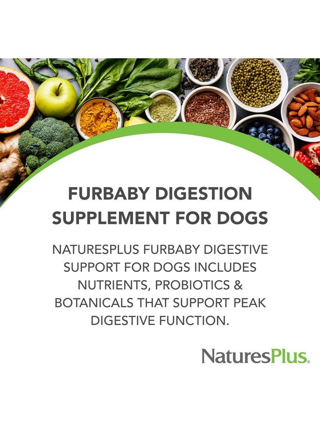 NaturesPlus FurBaby Digestive Support for Dogs - 7.4 oz - Promotes Optimal Digestion - Non-GMO - 60 Servings - Image 2