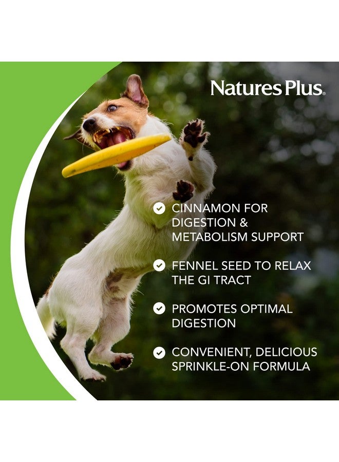 NaturesPlus FurBaby Digestive Support for Dogs - 7.4 oz - Promotes Optimal Digestion - Non-GMO - 60 Servings - Image 3