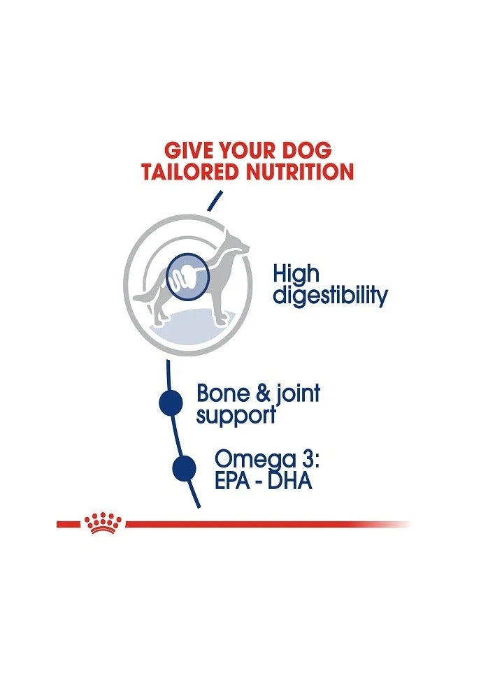 رويال كانين طعام الكلاب الجاف رويال كانين للكلاب البالغة كبيرة الحجم - Image 4