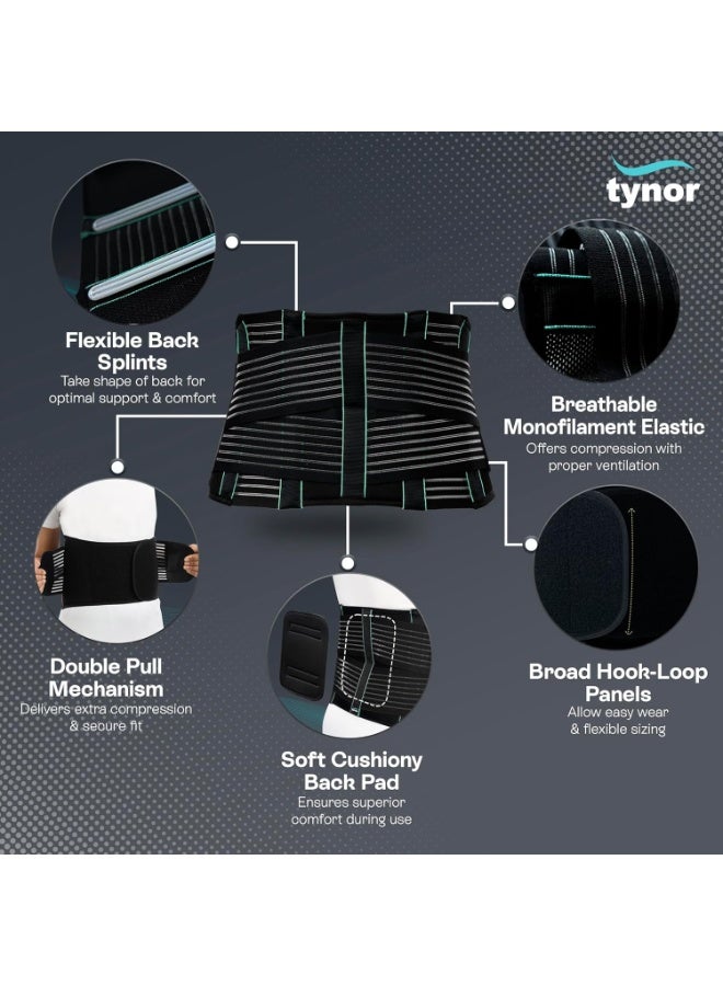 تاينور حزام دعم الظهر من TYNOR، أسود، مقاس XL، قطعة واحدة - Image 2