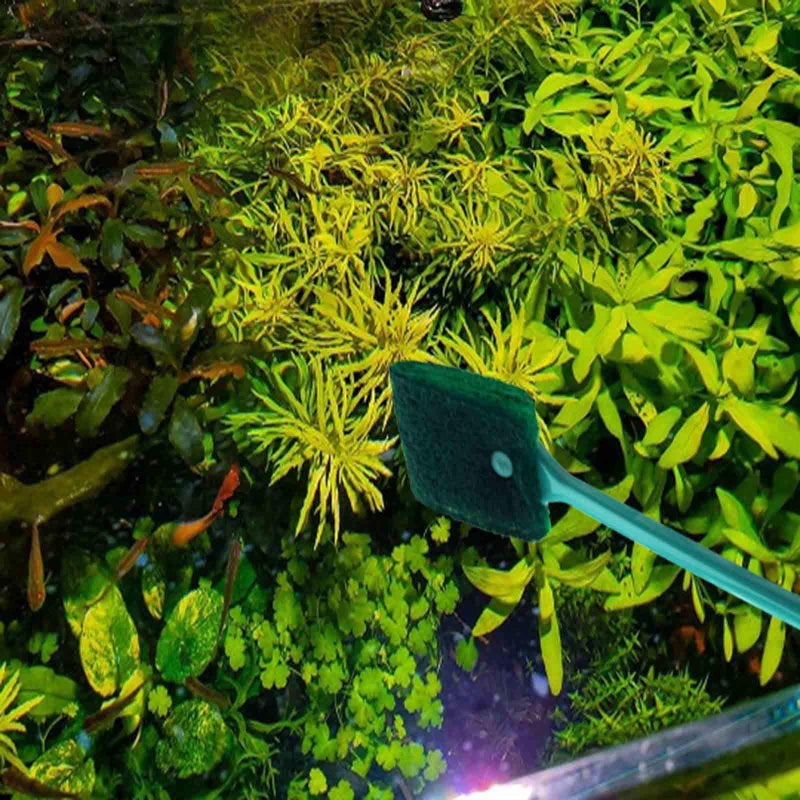AOODOOM 3 PCS Double-Sided AOODOOM Aquarium Fish Tank Algae Cleaning Brush with Non-Slip Handle, Sponge Scrubber Cleaner for Glass Aquariums and Home Kitchen - Image 5
